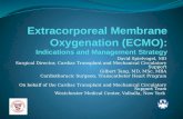 Extracorporeal  Membrane  Oxygenation (ECMO):  Indications and Management Strategy