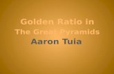 Golden Ratio in