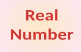 Real Number