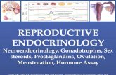 REPRODUCTIVE ENDOCRINOLOGY
