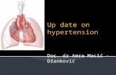 Up date on hypertension Doc. dr Amra Macić - Džanković