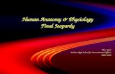 Human Anatomy & Physiology Final Jeopardy Mrs. Geist Bodine  High School for International Affairs