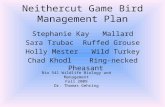 Neithercut  Game Bird Management Plan