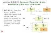 Anchor BIO.B.2.1  Compare Mendelian & non-Mendelian patterns of inheritance.
