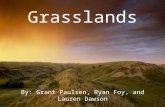 Grasslands By: Grant Paulsen, Ryan Foy, and Lauren Dawson