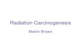 Radiation Carcinogenesis Martin Brown