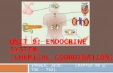 UNIT 9: ENDOCRINE SYSTEM  (CHEMICAL COORDINATION)