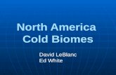 North America  Cold Biomes
