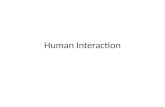 Human  Interaction
