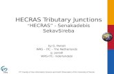 HECRAS Tributary Junctions “ HECRAS” - Senakadebis Se kavSireba
