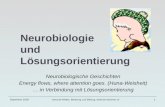 Neurobiologie  und  Lösungsorientierung