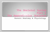 The Skeletal System Part 2 The  Appendicular  Skeleton