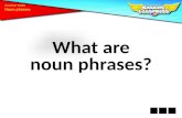 What are n oun  phrases?