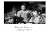 Domestic Images in  Great Expectations
