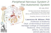 Peripheral Nervous System 2: The Autonomic System