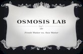 Osmosis Lab