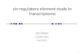 cis -regulatory element study in transcriptome