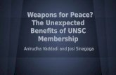 Weapons for Peace? The Unexpected Benefits of UNSC Membership