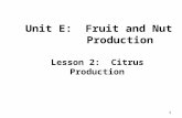 Unit  E:  Fruit and Nut Production