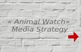 « Animal Watch»  Media Strategy