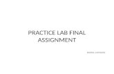 Practice Lab Final Assignment