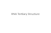 RNA Tertiary Structure