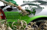 Biofuels : From Plants  to Porsches