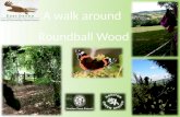 A walk around  Roundball Wood