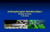 Actinopterygian  Relationships I Biology of Fishes 9.25.2012