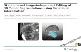 Sketch-based Image-independent Editing of  3D Tumor Segmentations  using Variational Interpolation