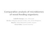 Comparative analysis of  microbiomes of  wood feeding organisms