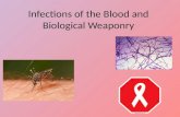 Infections of the Blood and Biological Weaponry