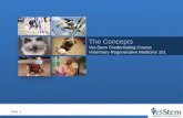 The Concepts Vet-Stem Credentialing Course Veterinary Regenerative  Medicine 101