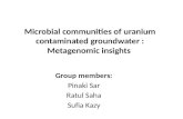 Microbial communities of uranium contaminated groundwater : Metagenomic insights