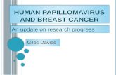 Human papillomavirus and breast cancer