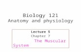 Biology 121 Anatomy and physiology