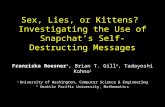 Sex, Lies, or Kittens?  Investigating the Use of  Snapchat’s  Self-Destructing Messages