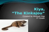 Kiya , “The Kinkajou”