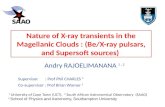 Nature of X-ray transients in the Magellanic Clouds : (Be/X-ray pulsars, and  Supersoft  sources)