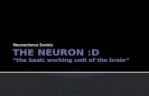THE NEURON :D “the basic working unit of the brain”