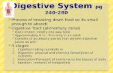 Digestive  System  pg 240-280