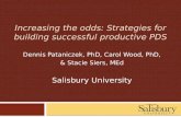 Increasing the odds: Strategies for building successful productive PDS