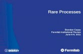 Rare Processes Brendan Casey Fermilab  Institutional Review June 6-9, 2011