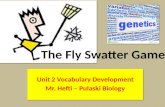 The Fly Swatter Game
