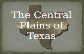 The Central Plains of Texas