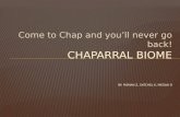 Chaparral Biome By: Roman z, Satchel k,  megan  d