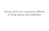 Neuro  Unit 5.6: Long-term effects of drug abuse and addiction