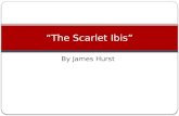 “The Scarlet Ibis”
