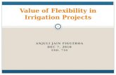Value of Flexibility in Irrigation Projects