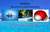WATER: Structure and Function